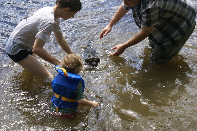 Les chiots a Roxy a la baignade - 1 mois et 1 semaine