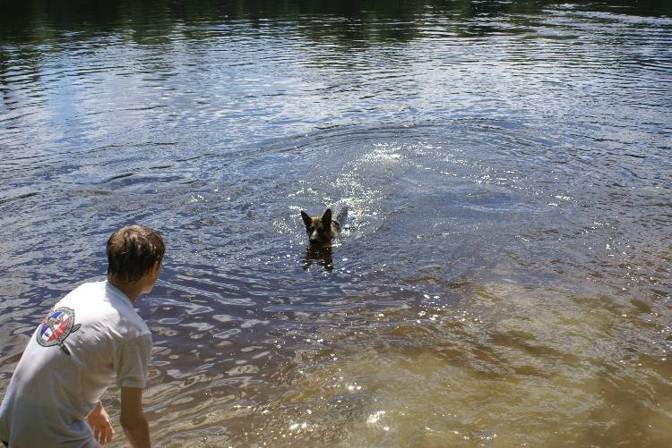 Les chiots a Roxy a la baignade - 1 mois et 1 semaine